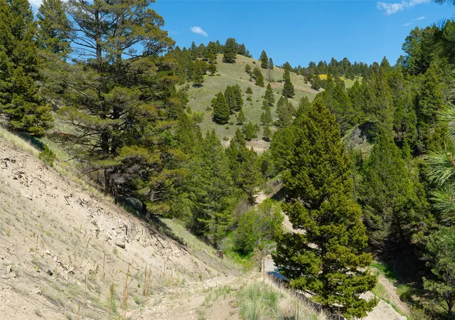 41st image of Tbd Lot 52 Blackfoot Rd, Garrison, MT 59731 | MLS# 30050560