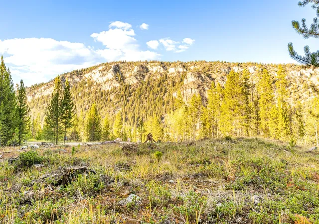 Homes for sale in Anaconda, MT | Lot 6 Tbd Harris Rd, Anaconda, MT 59711 | MLS# 30051329
