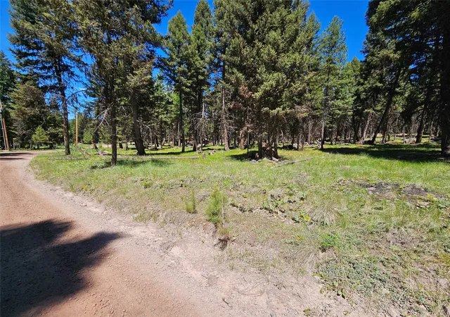 5th image of 264 Evergreen Dr, Seeley Lake, MT 59868 | MLS# 30051590