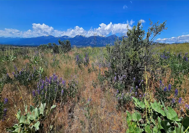 4th image of Nhn Upper Woodchuck Rd, Florence, MT 59833 | MLS# 30052006