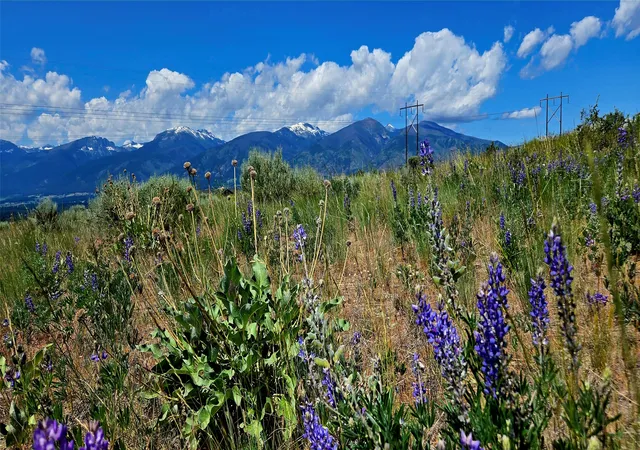 5th image of Nhn Upper Woodchuck Rd, Florence, MT 59833 | MLS# 30052006