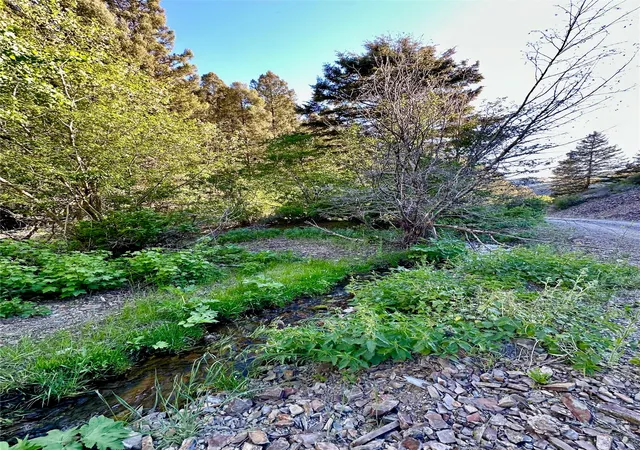 Photo 4 of Land for sale at Tbd Soap Gulch Rd, Melrose, MT 59743 | MLS# 30052352 | Listing updated on 2026-08-29