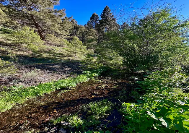 Photo 5 of Land for sale at Tbd Soap Gulch Rd, Melrose, MT 59743 | MLS# 30052352 | Listing updated on 2026-08-29