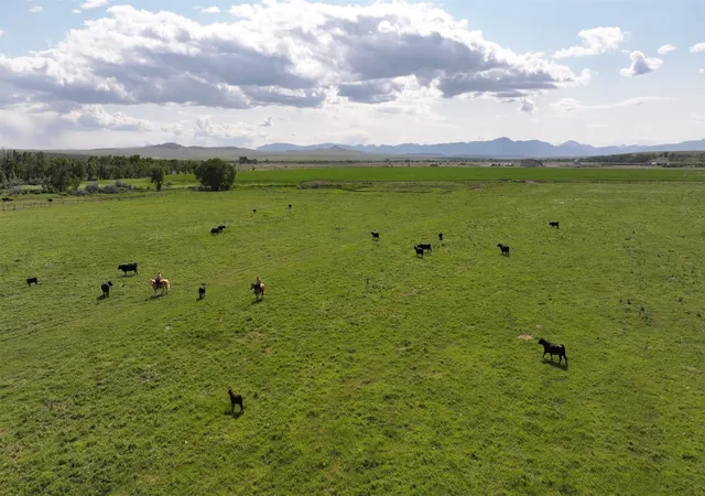 Homes for sale in Choteau, MT | Tbd Hwy 89 N, Choteau, MT 59422 | MLS# 30052981