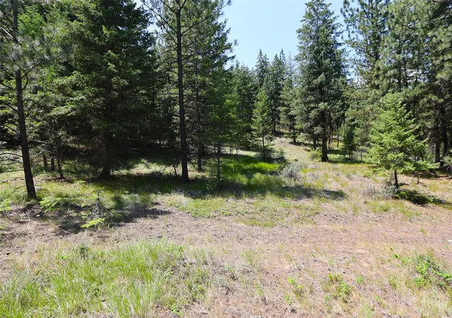 Homes for sale in Plains, MT | Nhn Heir Loom Way, Plains, MT 59859 | MLS# 30053075