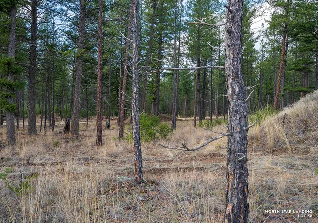 Homes for sale in Eureka, MT | Lot 56 Dropping Jaw, Eureka, MT 59917 | MLS# 30052196