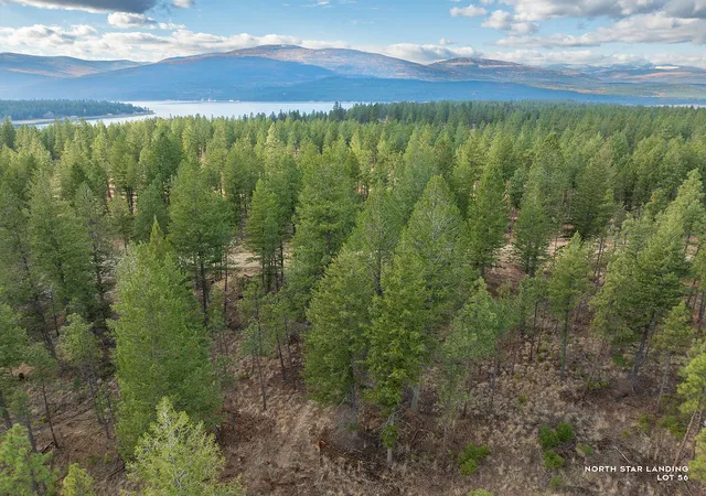 Homes for sale in Eureka, MT | Lot 56 Dropping Jaw, Eureka, MT 59917 | MLS# 30052196