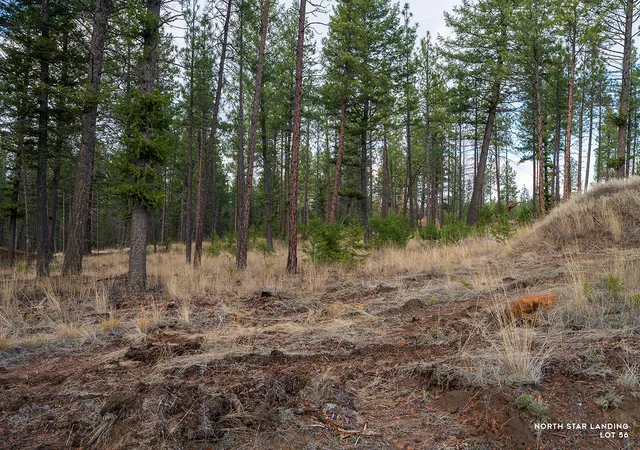 Homes for sale in Eureka, MT | Lot 56 Dropping Jaw, Eureka, MT 59917 | MLS# 30052196