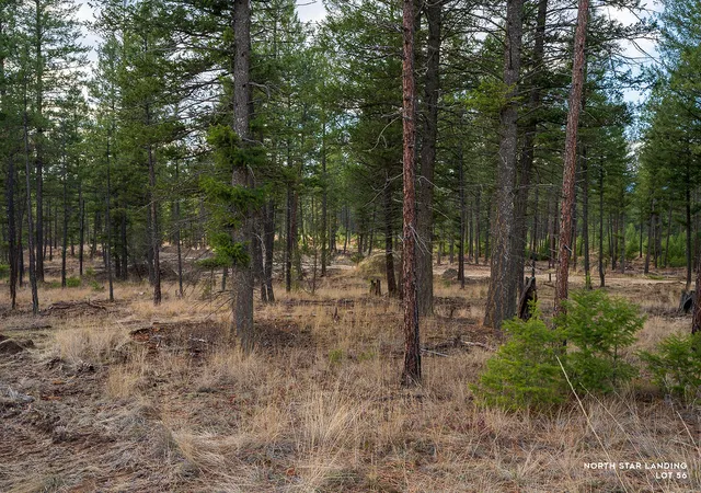 Homes for sale in Eureka, MT | Lot 56 Dropping Jaw, Eureka, MT 59917 | MLS# 30052196