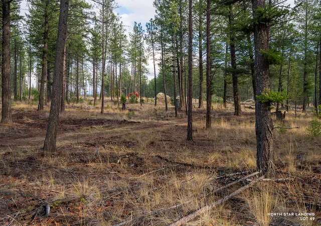 Homes for sale in Eureka, MT | Lot 49 Basin Bnd, Eureka, MT 59917 | MLS# 30052189