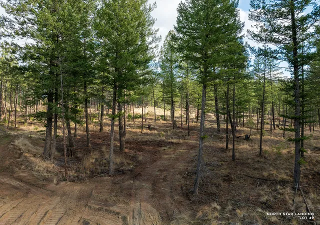 Homes for sale in Eureka, MT | Lot 49 Basin Bnd, Eureka, MT 59917 | MLS# 30052189
