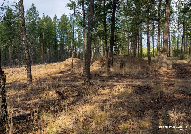 Homes for sale in Eureka, MT | Lot 49 Basin Bnd, Eureka, MT 59917 | MLS# 30052189