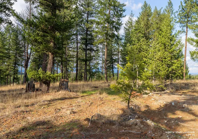 Homes for sale in Eureka, MT | Lot 18 Lake Hts, Eureka, MT 59917 | MLS# 30051467