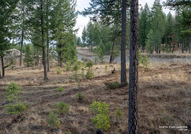 Photo 3 of Land for sale at Lot 26 Origin Ln, Eureka, MT 59917 | MLS# 30051268 | Listing updated on 2026-07-01