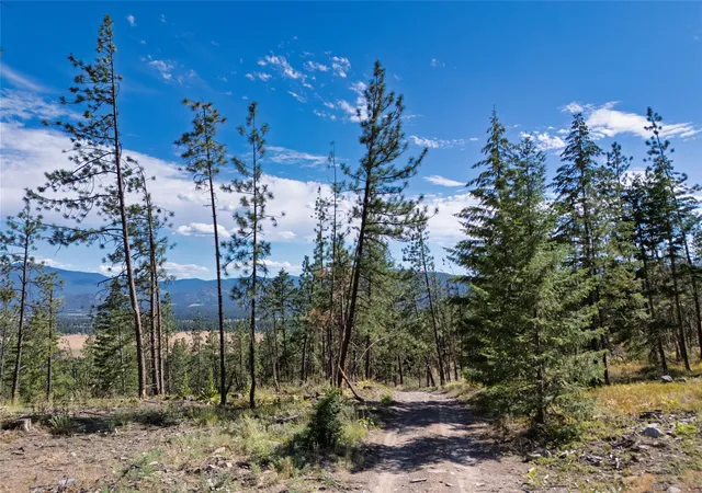 Homes for sale in Plains, MT | Nhn Whitetail Ln, Plains, MT 59859 | MLS# 30053884