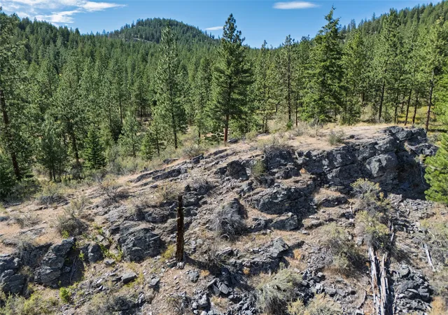 Homes for sale in Plains, MT | Nhn Whitetail Ln, Plains, MT 59859 | MLS# 30053884