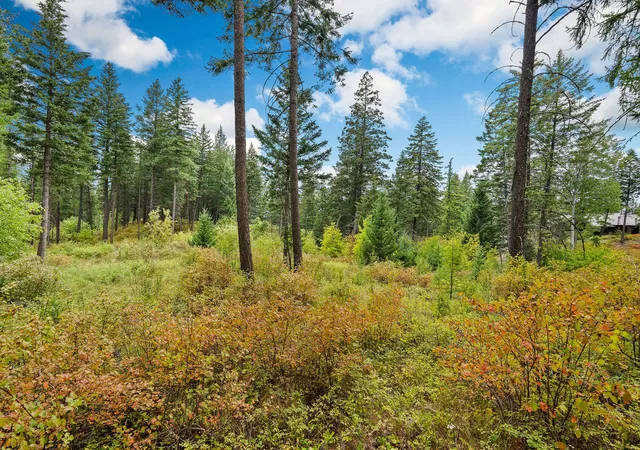 2nd image of 157 Pinto Trl, Bigfork, MT 59911 | MLS# 30054076