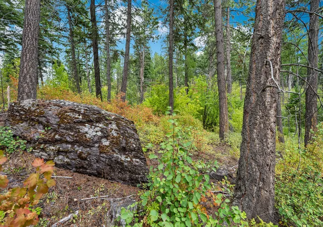 3rd image of 157 Pinto Trl, Bigfork, MT 59911 | MLS# 30054076