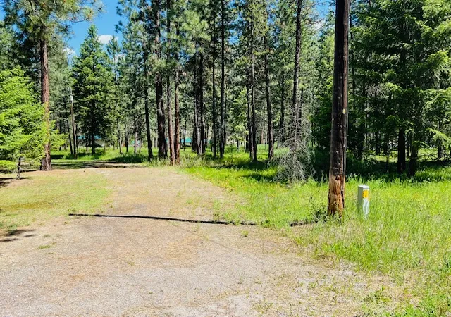Homes for sale in Superior, MT | Nhn Robins Nest Ln, Superior, MT 59872 | MLS# 30049362