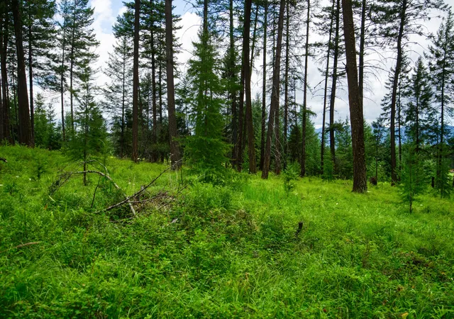 Photo 3 of Land for sale at 161 Rosewood #Lot 10, Whitefish, MT 59937 | MLS# 30053683 | Listing updated on 2026-08-26