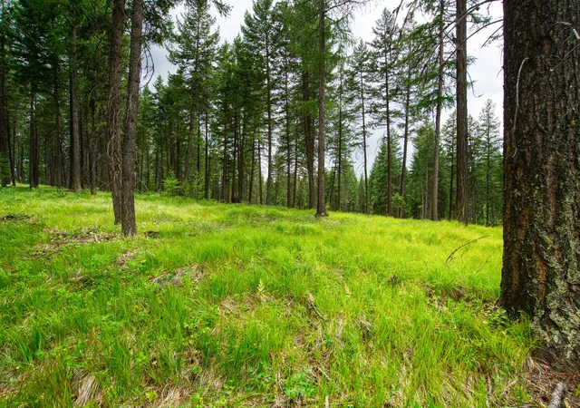 Homes for sale in Whitefish, MT | 142 Rosewood Ln #Lot 18, Whitefish, MT 59937 | MLS# 30053504