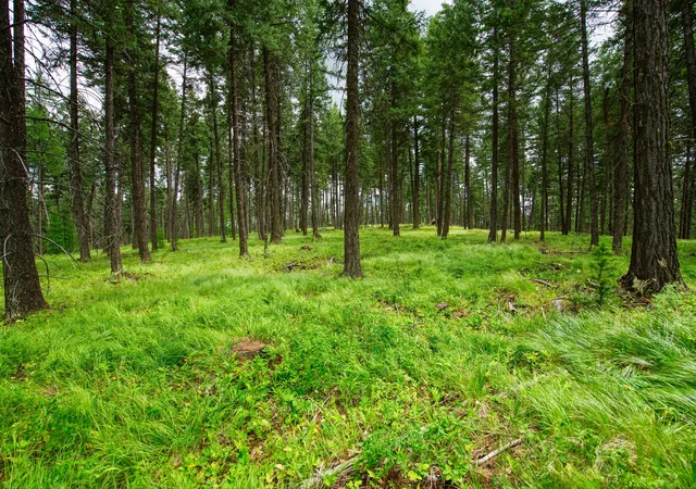 Photo 3 of Land for sale at 142 Rosewood Ln #18, Whitefish, MT 59937 | MLS# 30053504 | Listing updated on 2026-08-26