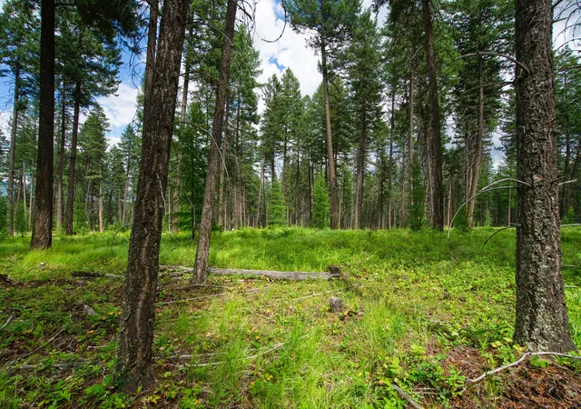 Photo 4 of Land for sale at 142 Rosewood Ln #18, Whitefish, MT 59937 | MLS# 30053504 | Listing updated on 2026-08-26