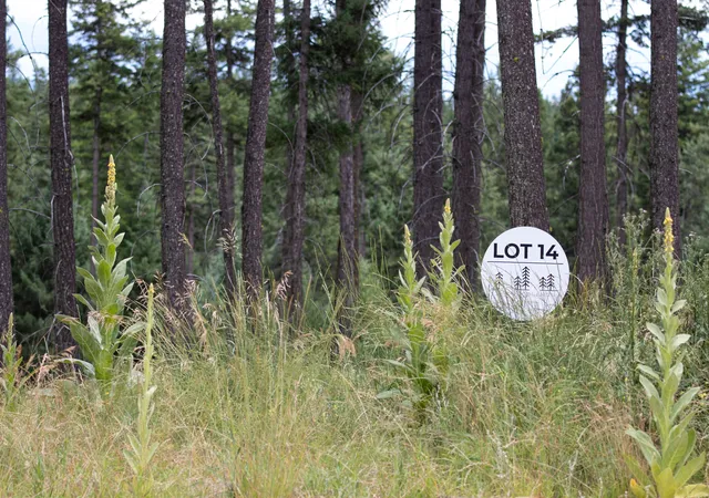 Homes for sale in Whitefish, MT | 185 Rosewood Ln #Lot 14, Whitefish, MT 59937 | MLS# 30053494