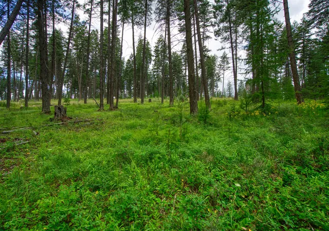 Photo 3 of Single family home for sale at Address To Be Determined The Woodlands #Lot 9, Whitefish, MT 59937 | MLS# 30053490 | Listing updated on 2026-10-09