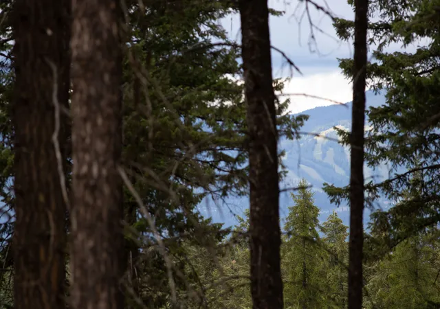 1st image of 149 Rosewood Ln #Lot 8, Whitefish, MT 59937 | MLS# 30053013