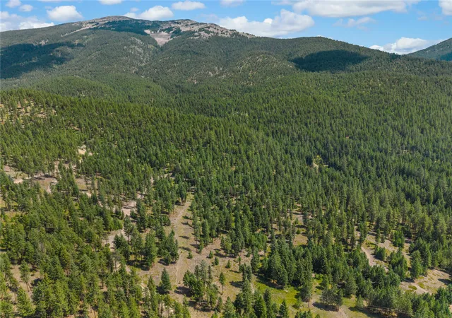 Photo 1 of Land for sale at Nhn Lot 16a Corona Ct, Plains, MT 59859 | MLS# 30054153 | Listing updated on 2026-09-01