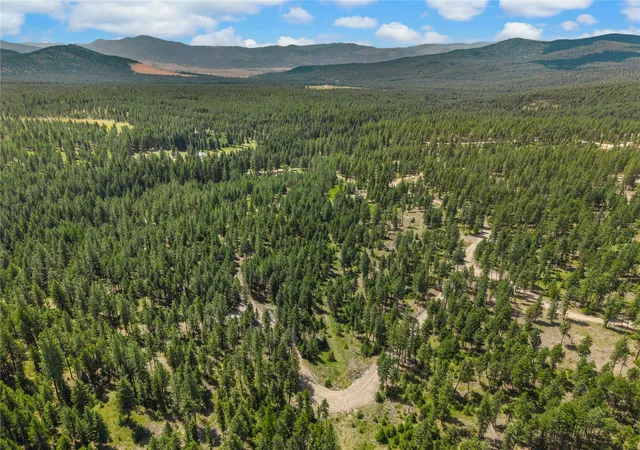 Photo 5 of Land for sale at Nhn Lot 16a Corona Ct, Plains, MT 59859 | MLS# 30054153 | Listing updated on 2026-09-01