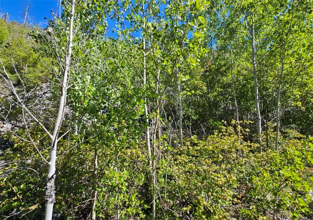 Homes for sale in Drummond, MT | 80 Upper Packer Gulch Rd, Drummond, MT 59832 | MLS# 30054227
