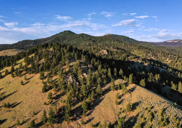 Homes for sale in Corvallis, MT | Bitterroot Highlands At Willow Creek - Nhn Willow Creek Rd, Corvallis, MT 59828 | MLS# 30053583