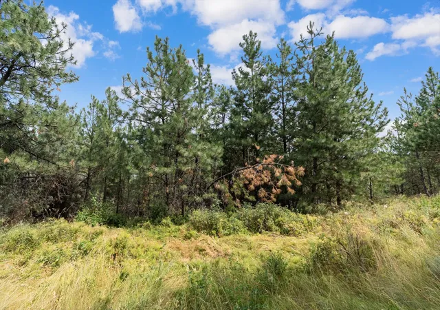 4th image of Old Us Hwy 93 Lot 1B, Dayton, MT 59914 | MLS# 30054224