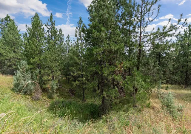 5th image of Old Us Hwy 93 Lot 1B, Dayton, MT 59914 | MLS# 30054224