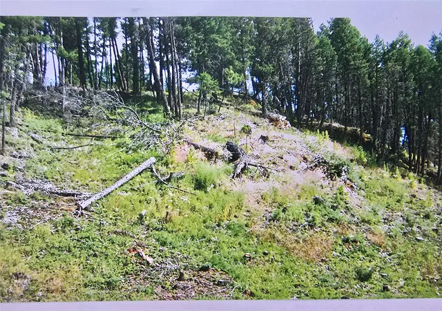 58th image of 434 Kettlehorn Dr N, Eureka, MT 59917 | MLS# 30054324