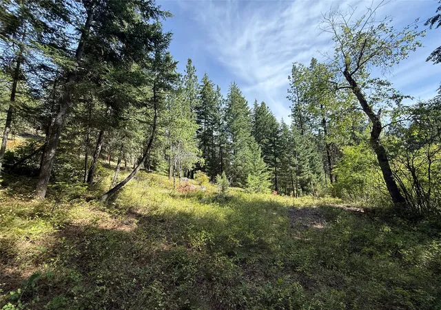 1st image of Nkn Wyant Ln, Hamilton, MT 59840 | MLS# 30054398