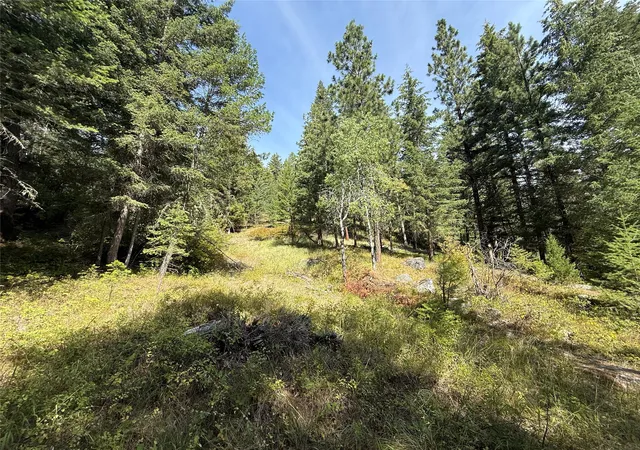 3rd image of Nkn Wyant Ln, Hamilton, MT 59840 | MLS# 30054398