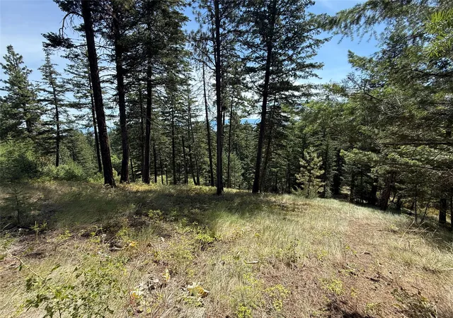 4th image of Nkn Wyant Ln, Hamilton, MT 59840 | MLS# 30054398