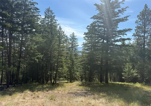 5th image of Nkn Wyant Ln, Hamilton, MT 59840 | MLS# 30054398