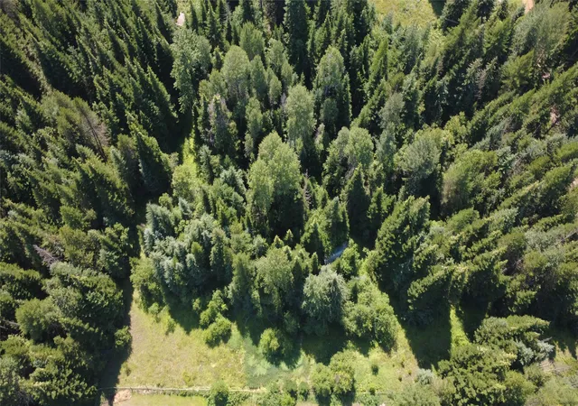 1st image of 905 Freeman Ridge Rd, Troy, MT 59935 | MLS# 30054521