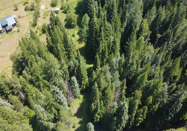 2nd image of 905 Freeman Ridge Rd, Troy, MT 59935 | MLS# 30054521