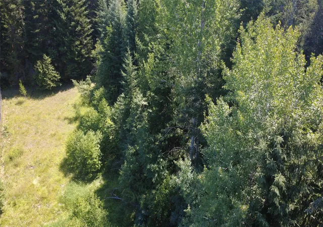 Homes for sale in Troy, MT | 905 Freeman Ridge Rd, Troy, MT 59935 | MLS# 30054521