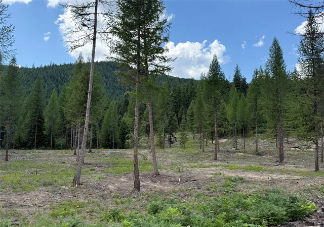 Homes for sale in Libby, MT | Tbd Lot 10 N Schreiber Lake Subdivision, Libby, MT 59923 | MLS# 30053809