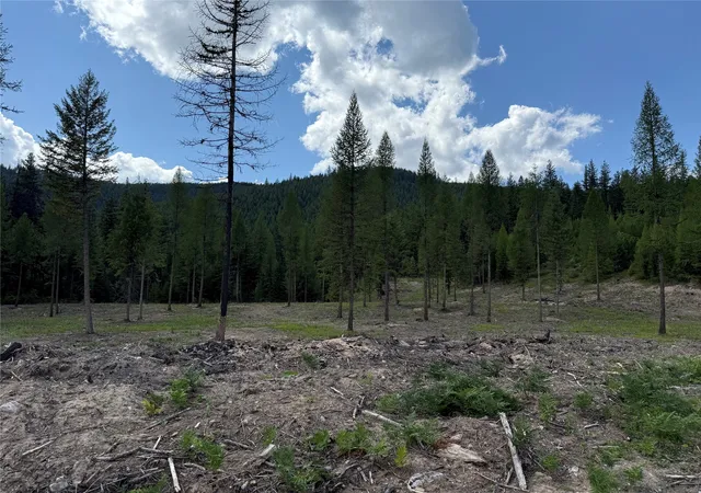 Homes for sale in Libby, MT | Tbd Lot 10 N Schreiber Lake Subdivision, Libby, MT 59923 | MLS# 30053809