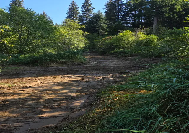 27th image of Tbd Lakota Loop, Troy, MT 59935 | MLS# 30054661