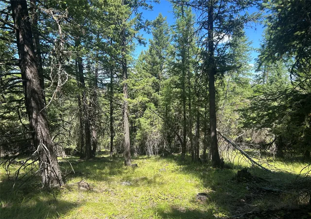 2nd image of 332 Racheals Meadow Ln, Kila, MT 59920 | MLS# 30054049