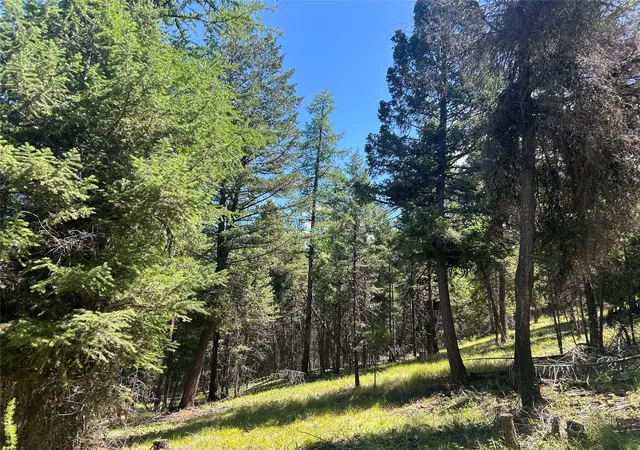 Photo 3 of Land for sale at 332 Racheals Meadow Ln, Kila, MT 59920 | MLS# 30054049 | Listing updated on 2026-08-04