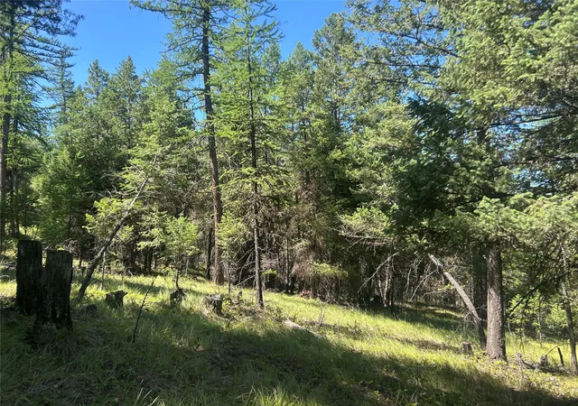 Photo 4 of Land for sale at 332 Racheals Meadow Ln, Kila, MT 59920 | MLS# 30054049 | Listing updated on 2026-08-04